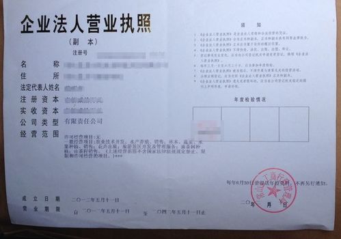 痛客網 工商注冊時,該怎么填經營范圍