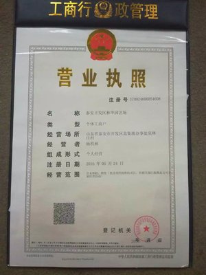 【山東泰安梨樹基地 黃金梨 紅梨 酥梨 哪有好梨樹】價格_廠家_圖片 -